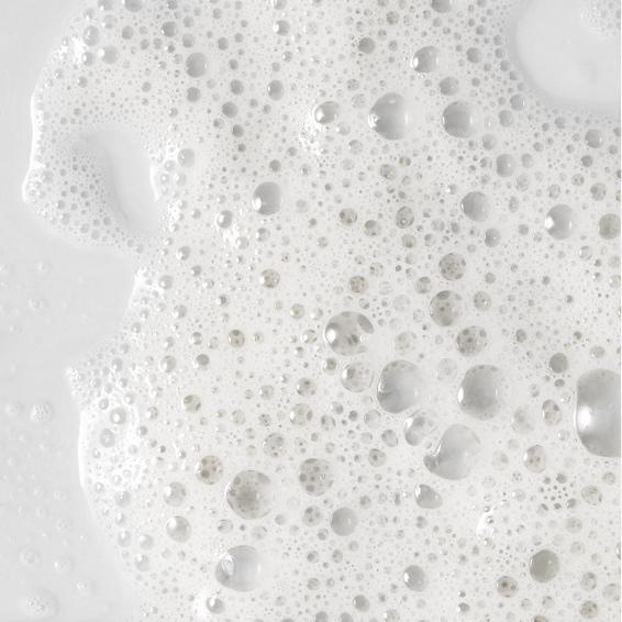 THE BASIC MEMBERSHIP